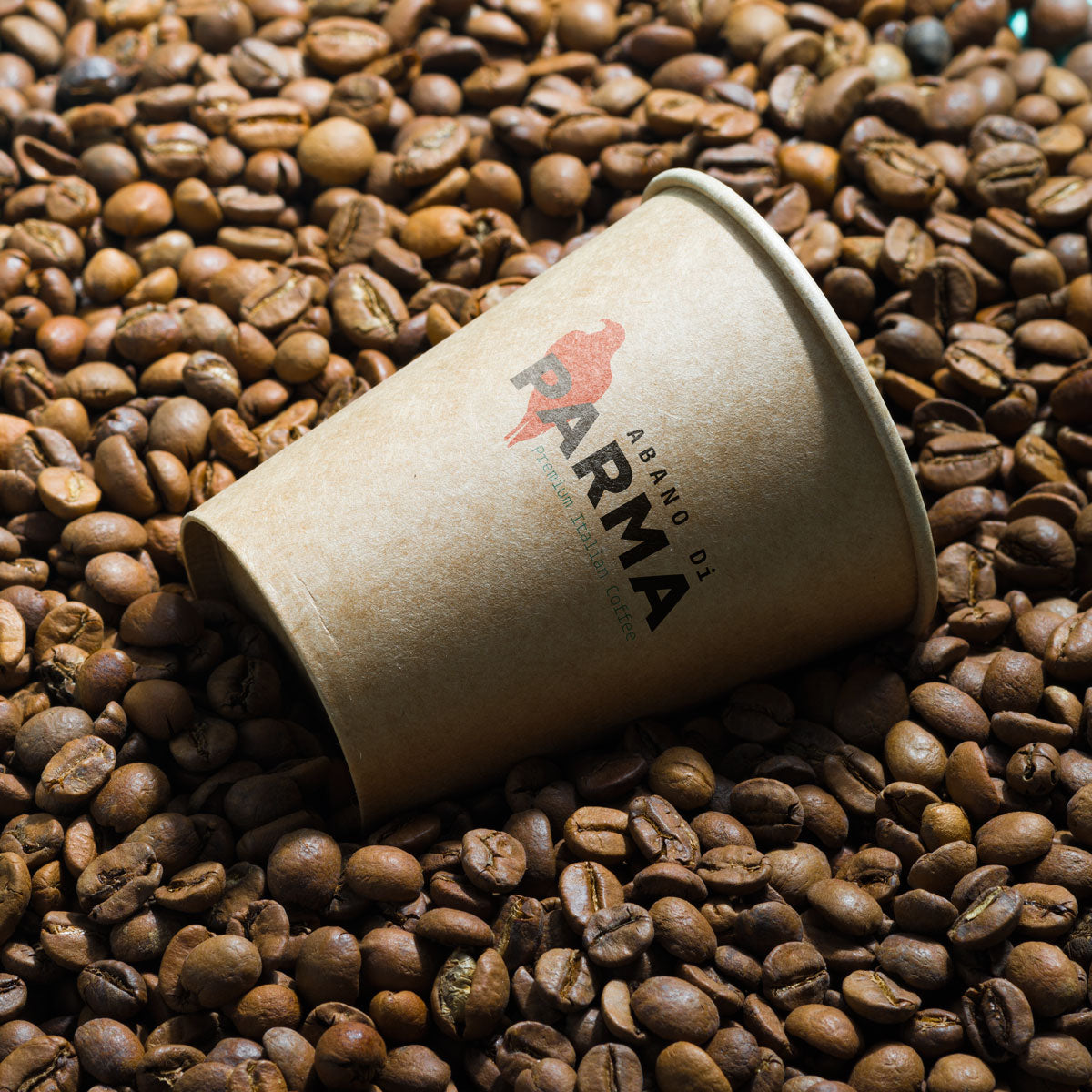 Abano Di Parma 50% Arabica roasted coffee beans 1Kg